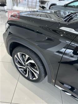 جيلي مونجارو